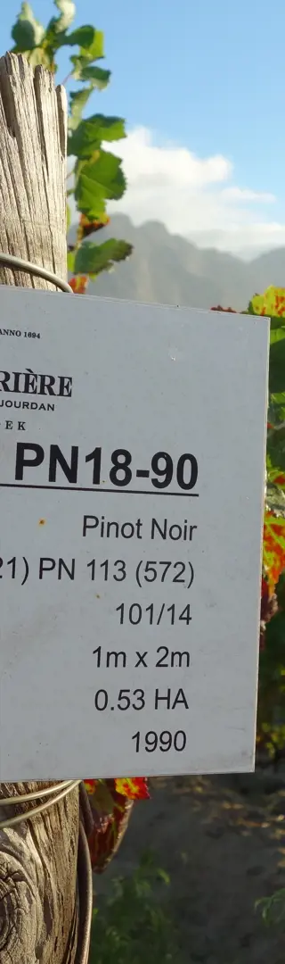 Besuch bei Haute Cabrière – Wein, Geschichte und Gastfreundschaft